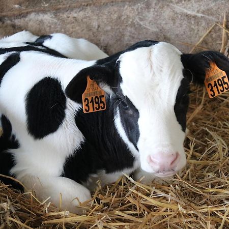 Le Thuit - F2 Plain Pied Tout Equipe A La Ferme Charleval  Екстер'єр фото