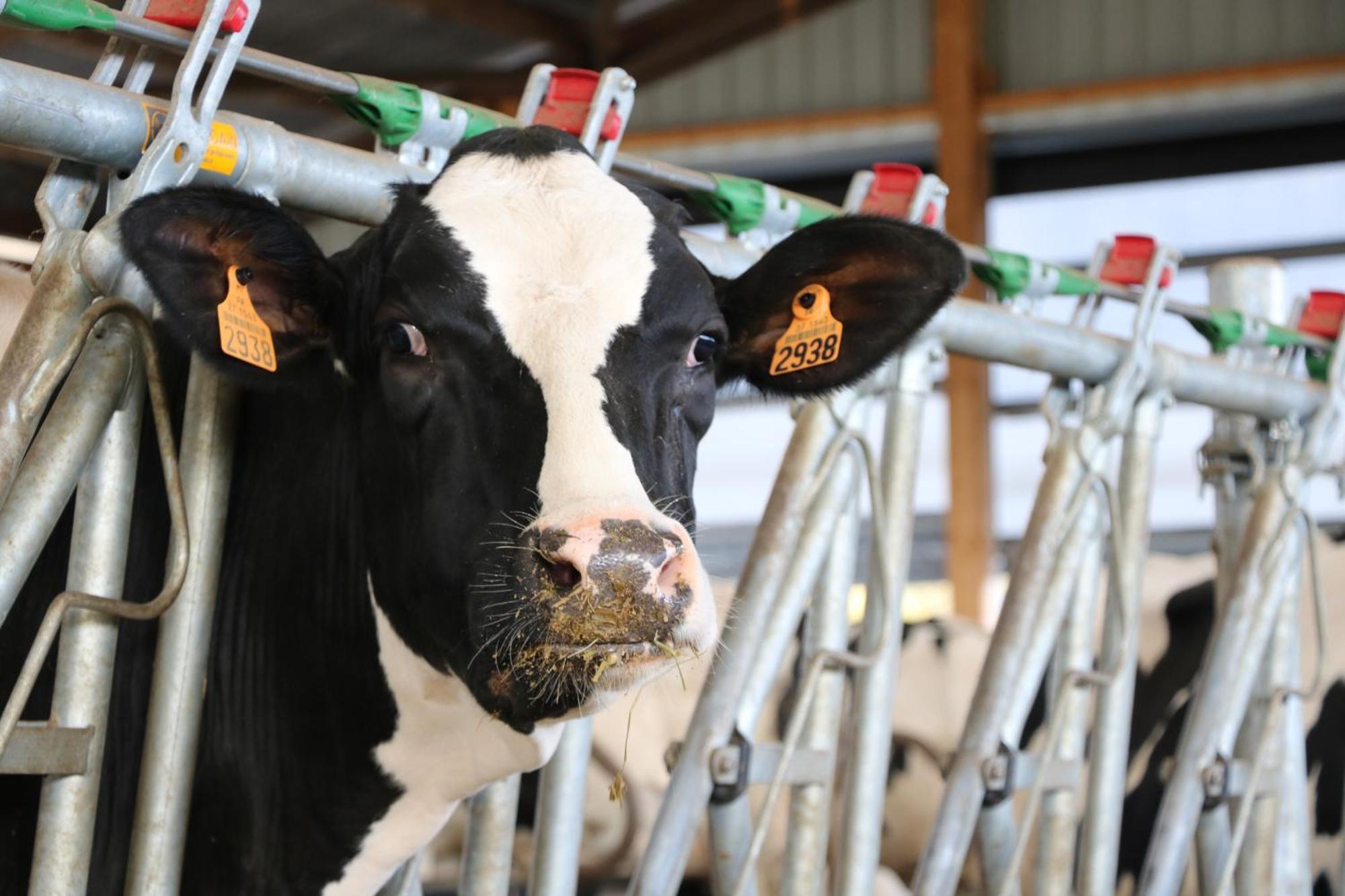 Le Thuit - F2 Plain Pied Tout Equipe A La Ferme Charleval  Екстер'єр фото