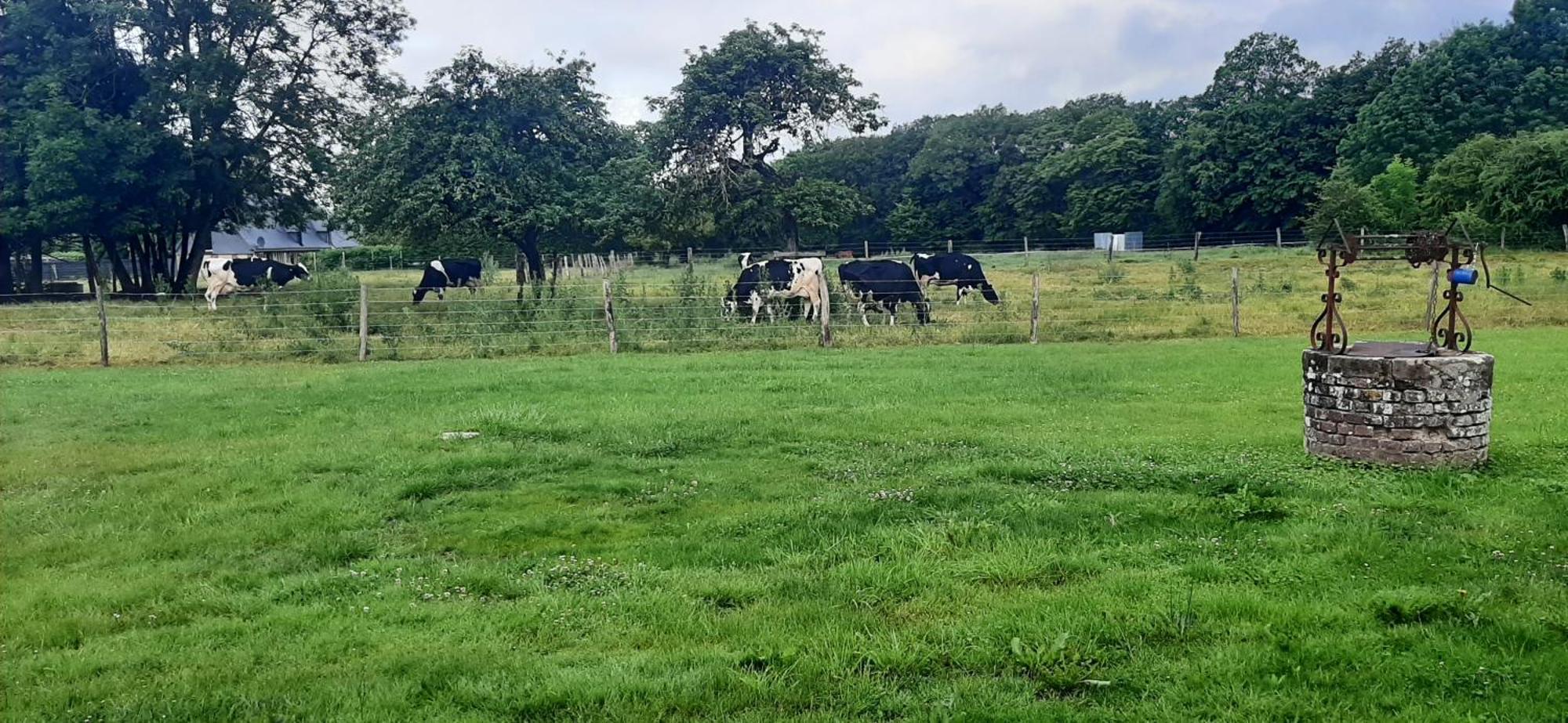 Le Thuit - F2 Plain Pied Tout Equipe A La Ferme Charleval  Екстер'єр фото
